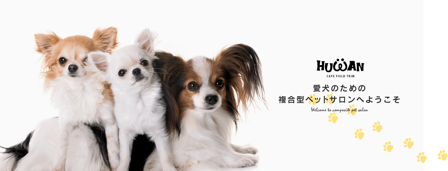 愛犬のための複合型ペットサロンへようこそ 北九州でトリミング 犬のしつけができる施設をお探しならhuwan